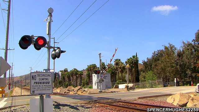 Amtrak Trains (featuring P42DC #113) in Laguna Niguel, CA (May 25th, 2013)