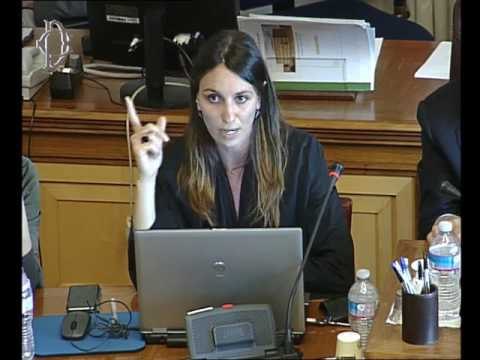 Roma - Audizione esperti recupero museale (16.05.17)