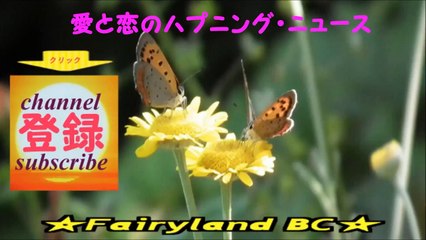 【見逃がせない話題作】本田翼、佐藤浩市、起終点駅ターミナル