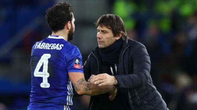 Intense Conte methods paid off for Chelsea - Fabregas