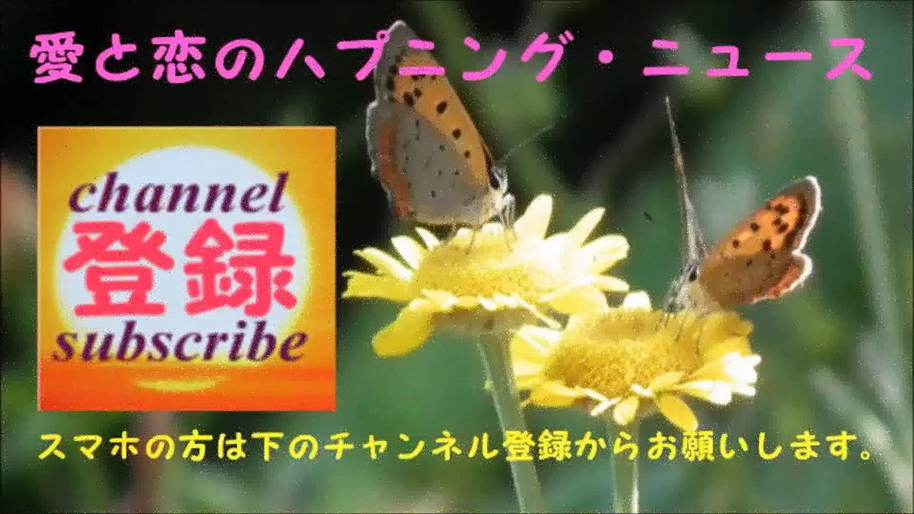 【新事実】熊切あさ美が号泣（ニコ生）「破局騒動」に島田紳助の影？