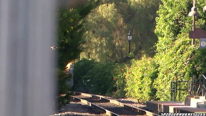 Amtrak 462 & 6901 (July 2011)