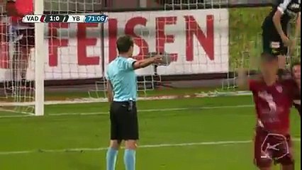 Bühler Goal - Vaduz vs Young Boys  1-0  17.05.2017 (HD)