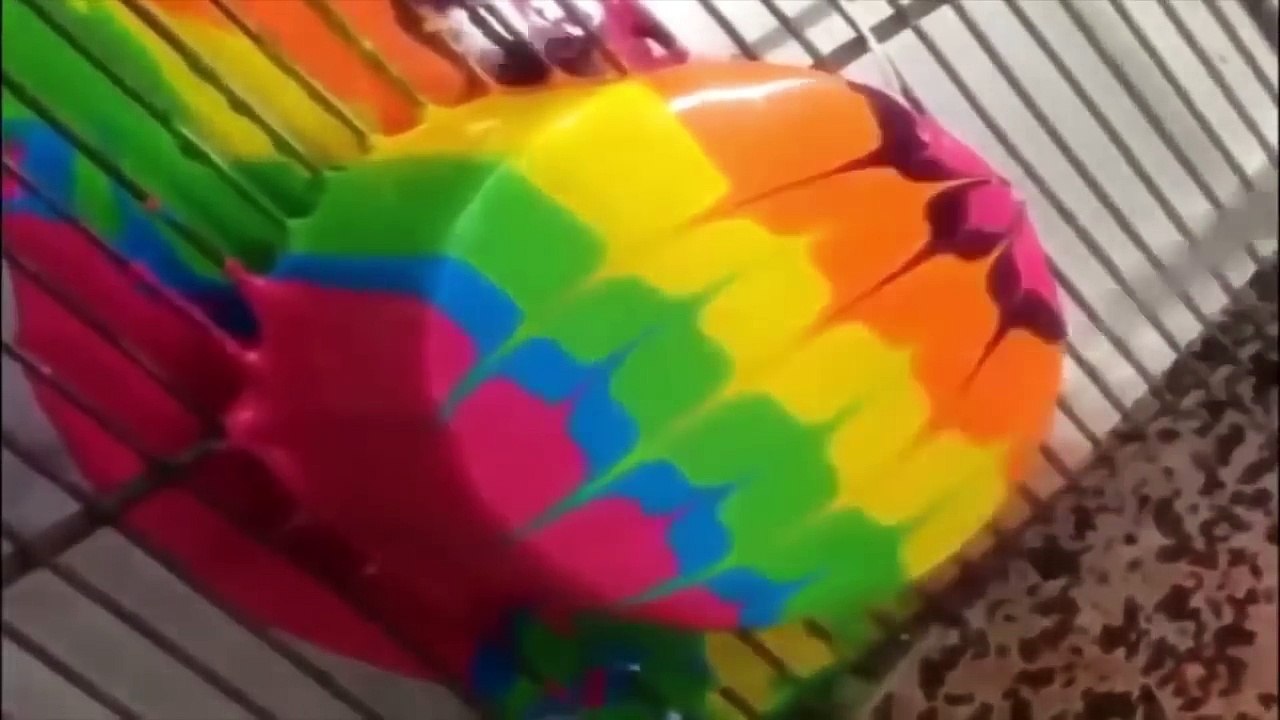 Oddly Satisfying Video