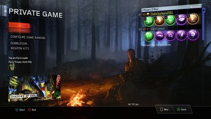 Call of duty zombie Chronicles (16)