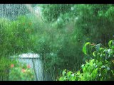 Heavy Rain Sounds for Sleeping HD |  Rain Sounds Can Help You Sleep