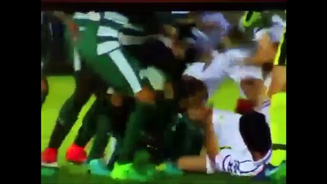 PAOK Coach Vladimir Ivic is beaten down (Panathinaikos vs. PAOK)