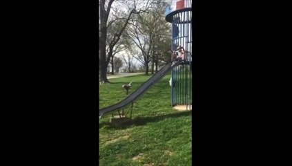 Quand ton papa est incapable de te rattraper au pied d'un toboggan