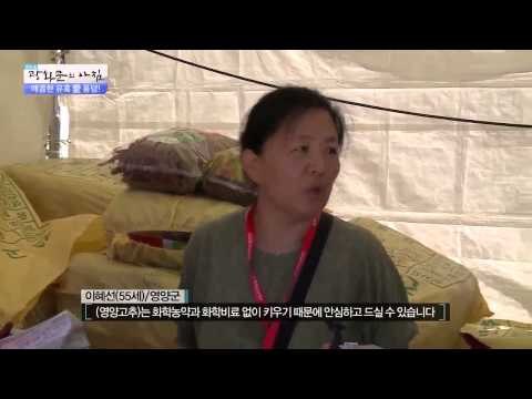 매콤한 유혹 愛 풍덩! [광화문의 아침] 67회 20150909