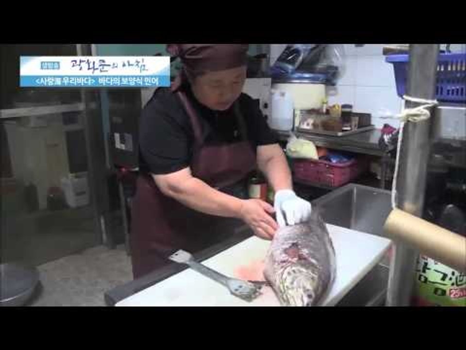 바다의 보양식 민어 [광화문의 아침] 66회 20150908