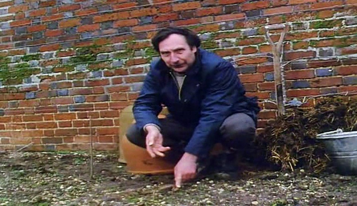 The Victorian Kitchen Garden S01 E03 February video Dailymotion