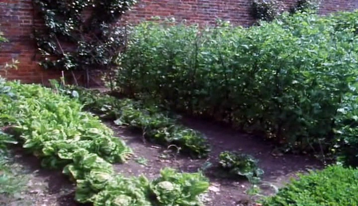 The Victorian Kitchen Garden S01 E07 June video Dailymotion