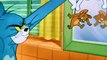 Tom et Jerry épisodes drôles complète 2015 - Tom and Jerry - The Missing Mouse and Baby Butch
