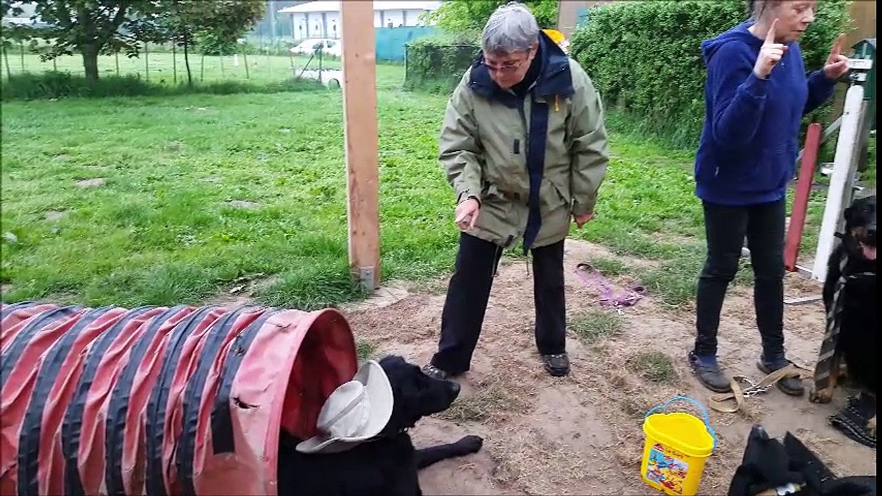 Mannequin challenge la Récré@chien