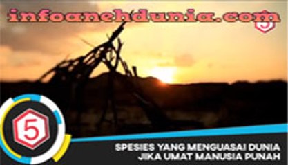 5 MAKHLUK YANG MENGUASAI BUMI JIKA UMAT MANUSIA PUNAH