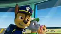 Paw Patrol English Pup Pup Goose Pup Pup and Away part 9 brief E
