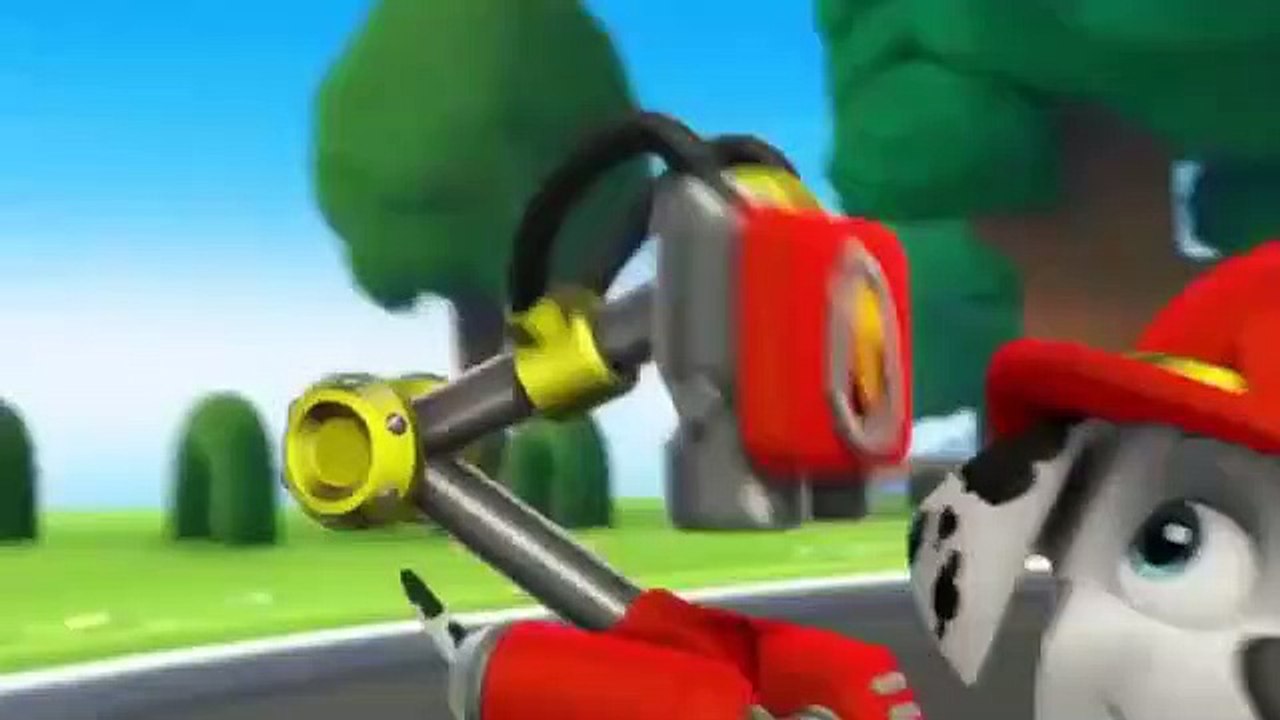 PAW Patrol Pups Save an Ace