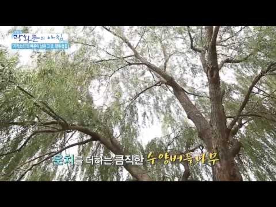 도심 속 휴식 공간 푸른 수목원 [광화문의 아침] 64회 20150904