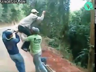 Melhores Momentos Vídeos Engraçado