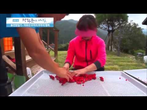 덕유산 오미자 부부의 행복 [광화문의 아침] 62회 20150902