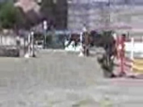 Montage concours Obernai le 26.A.2007 e3.e2.open1.e1