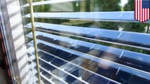 Solar window blinds can both block sunlight and harvest solar energy