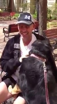 Ce chien retrouve son maître absent pendant longtemps à cause de son cancer... Trop émouvant