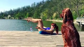ANIMALS NEVER FAIL TO MAKE US LAUGH - FUNNY VIDEOS COMPILATION MAY 2017