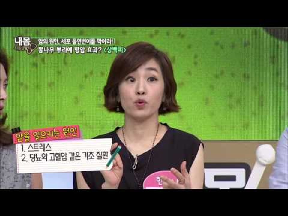 암 뿐만이 아니라 폐질환도 보호해주는 뽕나무 뿌리 '상백피' [내 몸 사용 설명서]...