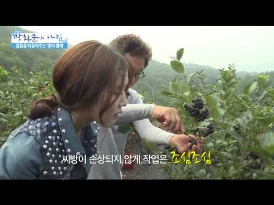 젊음을 되찾아주는 '왕의 열매' [광화문의 아침] 57회 20150826