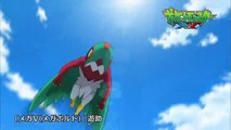 【公式】アニメ「ポケットモンスター XY」プ�
