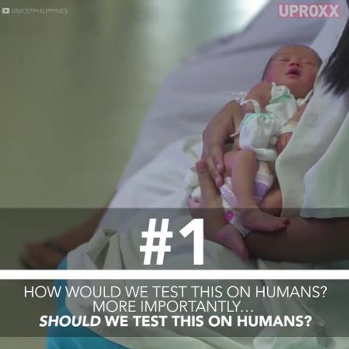 Scientists Have Created An Artificial Womb. What Now?