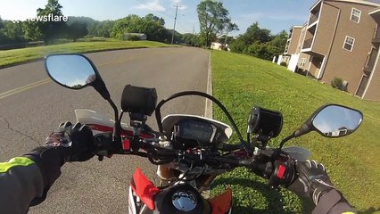 Motorcyclist stops to save a turtle stranded in the middle of the road