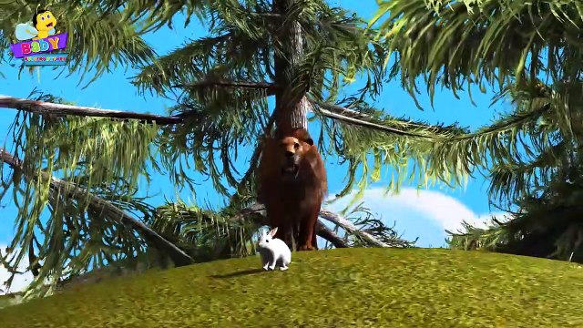 Lion Finger Family 3D _ Animals Cartoons Finger Family Children Nursery Rhymes-