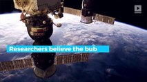 NASA discovers man-made bubble around Earth