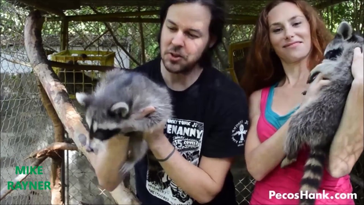 Funny Animals Cats & Dogs, Amazing Pets Agility & Talent Compilation, Best #1 hour Cute Pet Moments_5