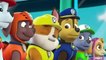 Paw Patrol ♥ Pups Save A BIG BONE ♥ Animation Movies For Kids