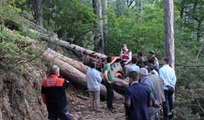 Üzerine Ağaç Devrilen Orman Işçisi Hayatını Kaybetti
