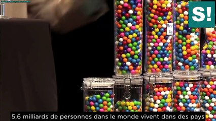 L'immigration et les bonbons - La démonstration qui pousse à la réflexion
