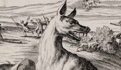 [L'animal & l'homme] Retour sur la bête du Gévaudan