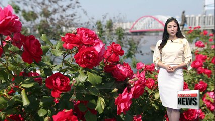 Summer-like weather nationwide