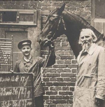 [L'animal & l'homme] Hans, le cheval qui savait compter