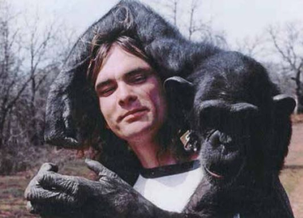 [L'animal & l'homme] Nim Chimpsky, singe brillant au destin tragique