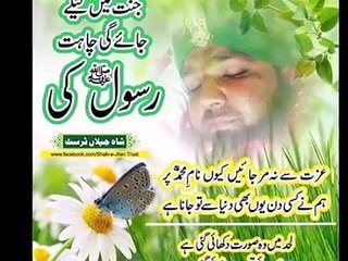 Baba Mere Piyare Baba  - Mumtaz Qadri  Shaheed R.A -