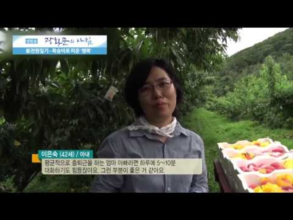 복숭아로 피운 행복 [광화문의 아침] 53회 20150819