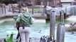 NPR   It's breakfast time for African Penguins at the The Maryland Zoo in Baltimore