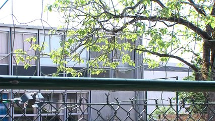 SOCIETE/ Tours-Nord: les parents demandent la destruction de l'école