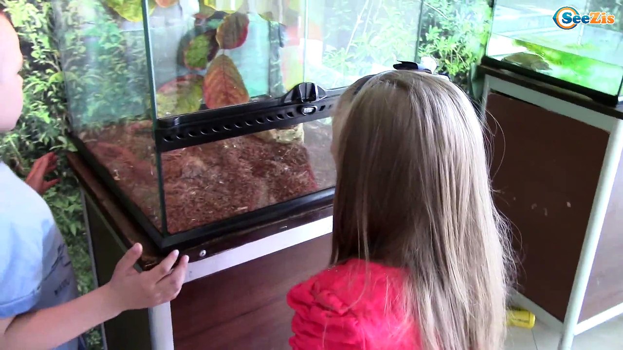 VLOG КОНТАКТНЫЙ ЗООПАРК ОБЕЗЬЯНА УКУСИЛА ПАУКА!...