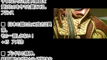 【海外の反応】「サムライの鎧はクールで美しい･･」外国人が侍たちが着用した本物の甲冑に感動！日本人「外国の博物館の見せ方って凝っててカッコいいww」