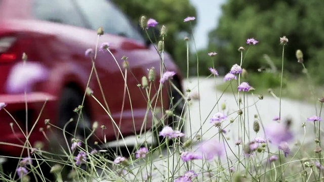 2017 Rallye Costa Brava - Die schönsten Straßen Seat Ibiza Cupra & Seat Leon Cupra